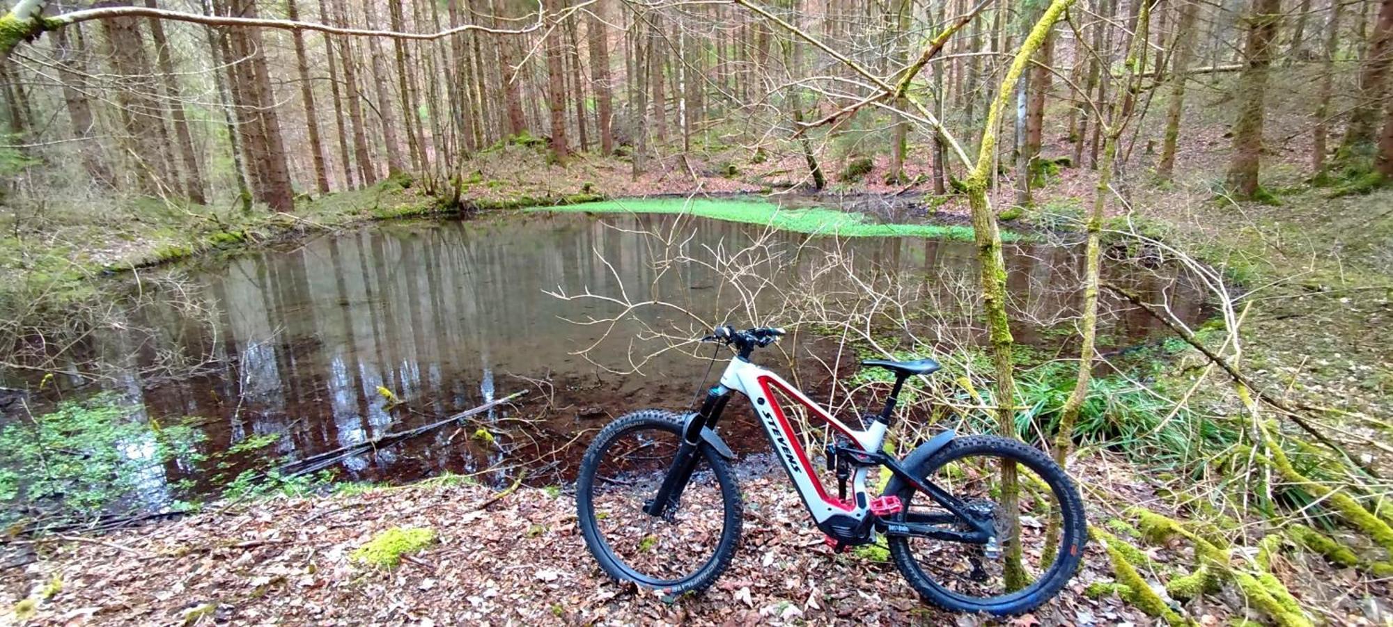 Ferienwohnung Hecht - Biketrail Fun & Relaxing Wolfegg Bagian luar foto