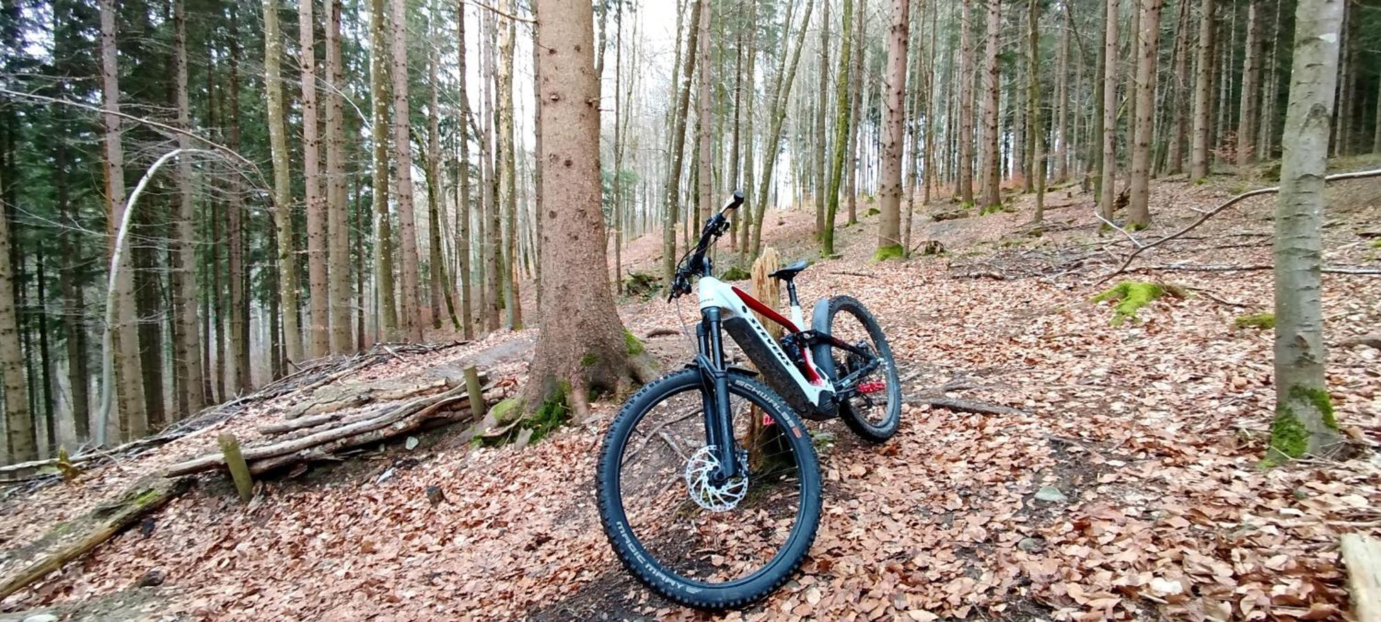 Ferienwohnung Hecht - Biketrail Fun & Relaxing Wolfegg Bagian luar foto